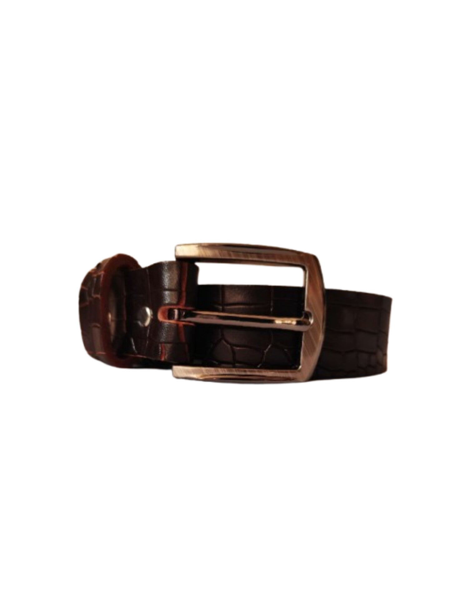 Crocodile belt-6